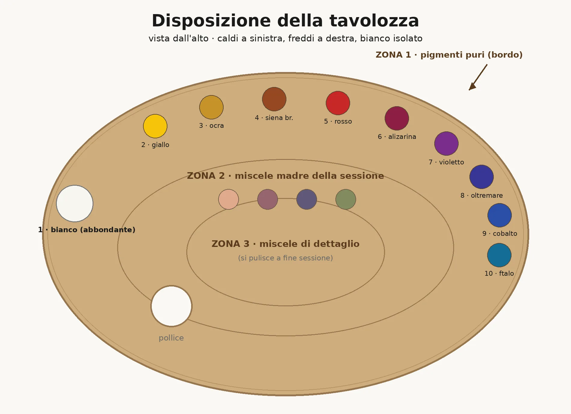 La disposizione della tavolozza