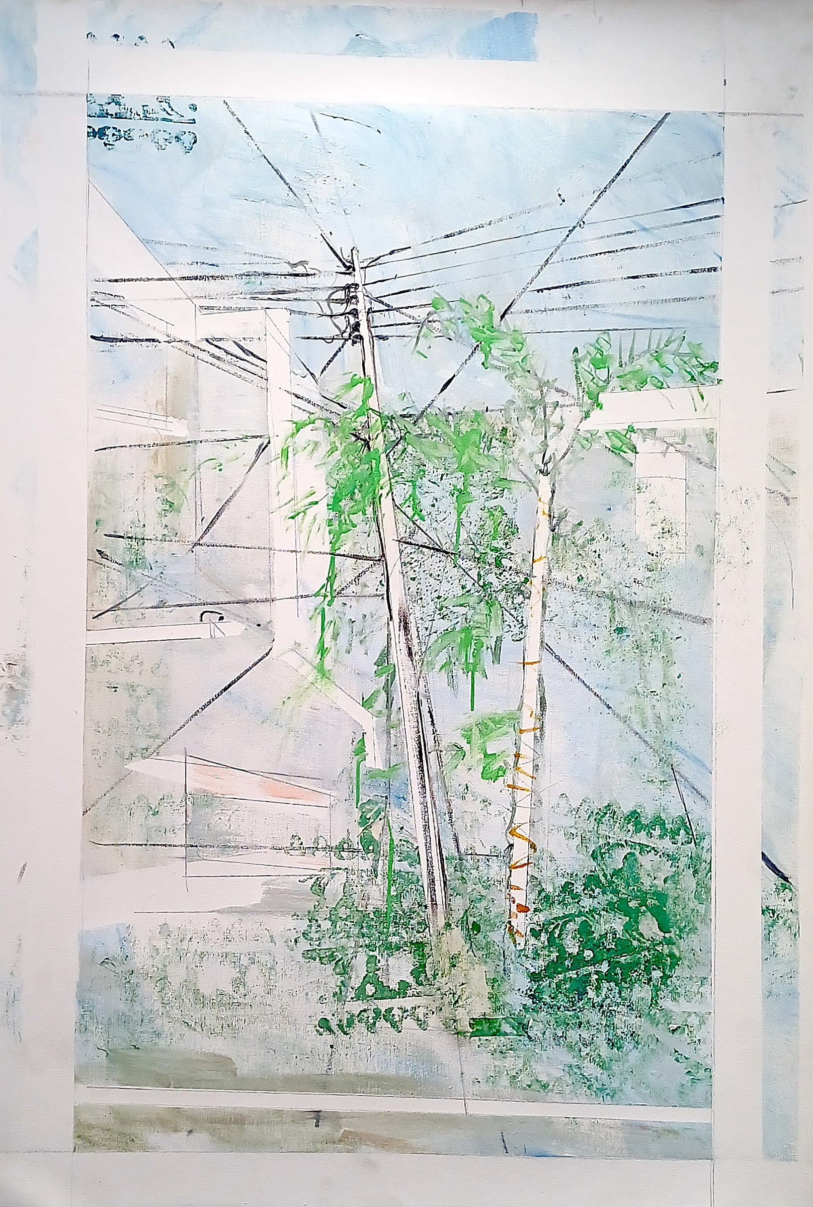 Cables — 20250216 153954