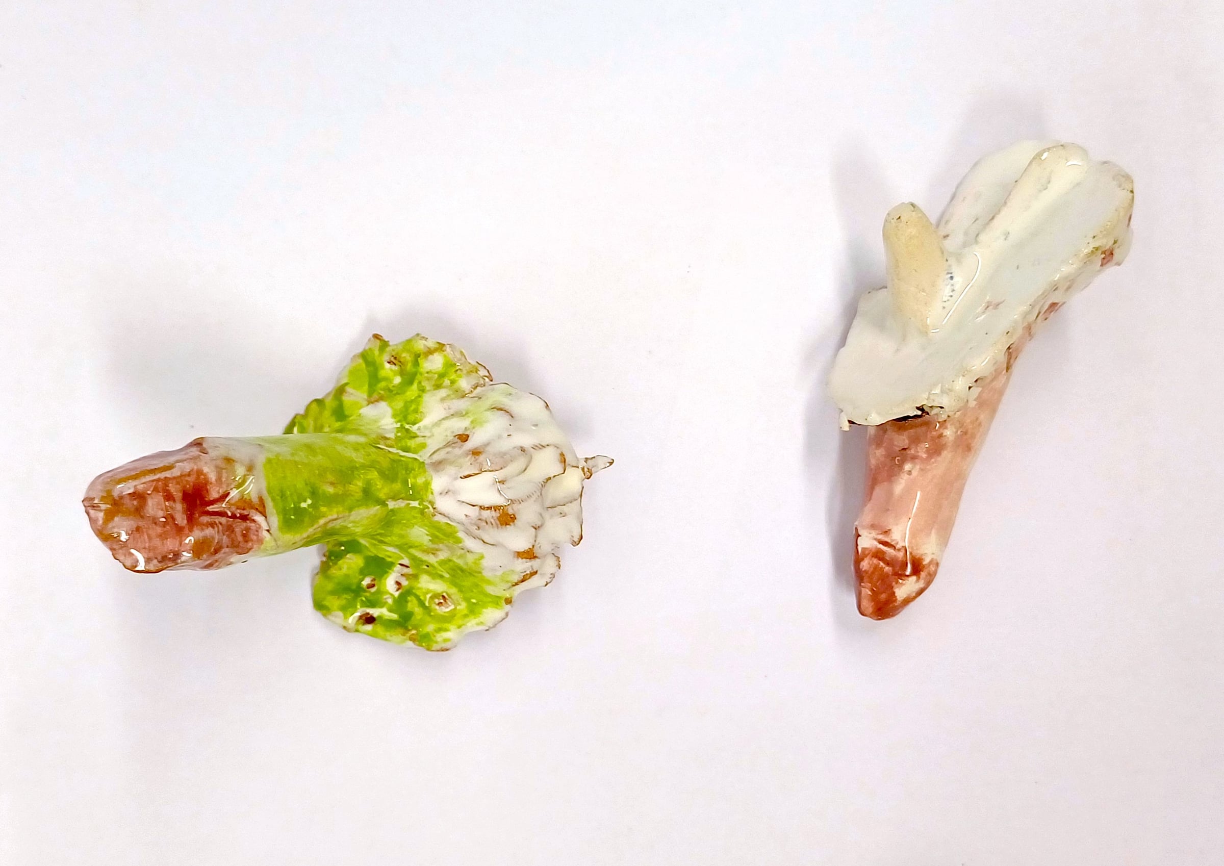 Ceramics, i am nature 05