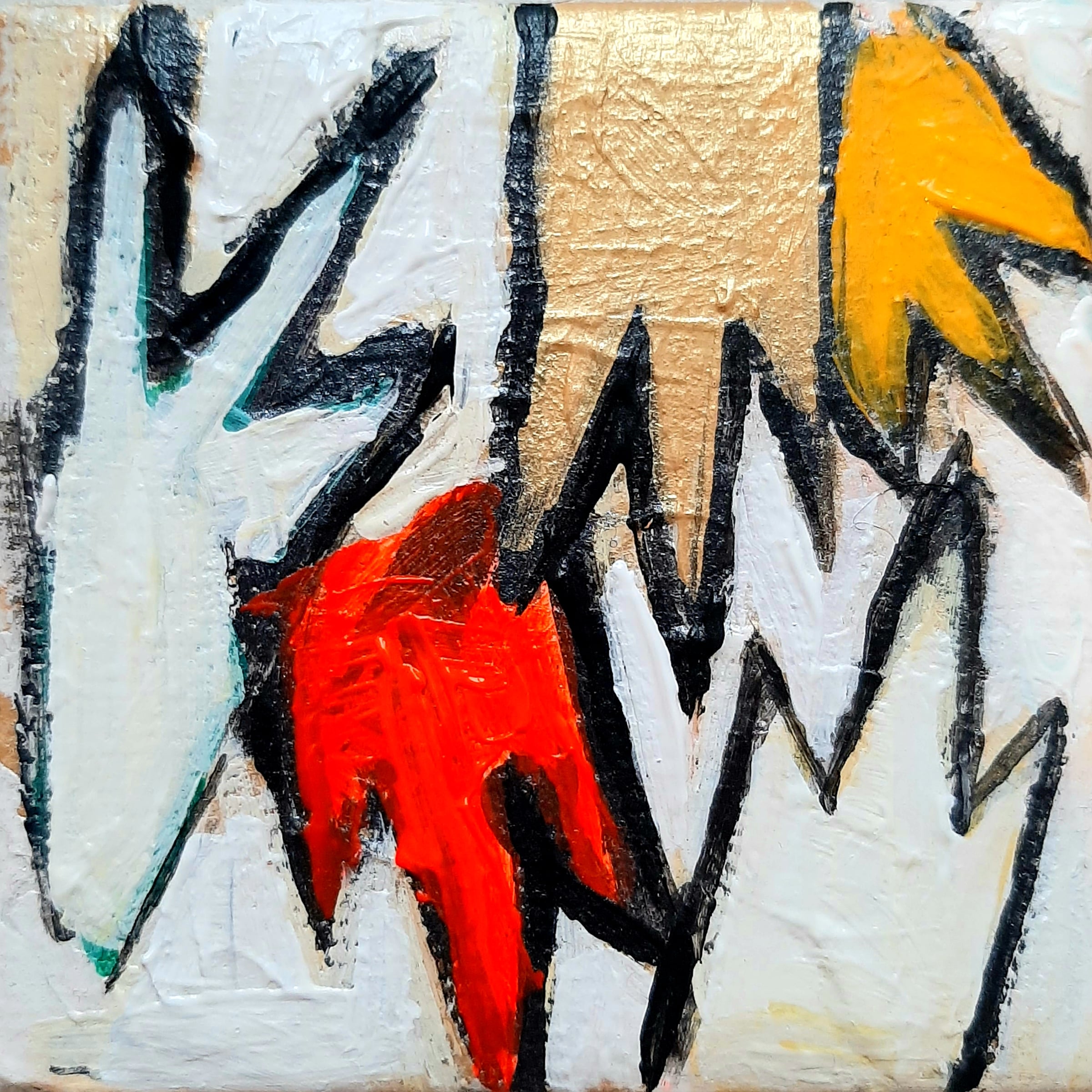 Selvatica — points